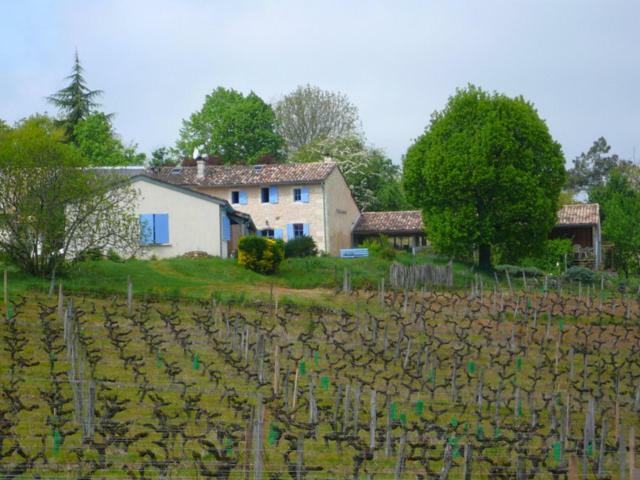 Chateau Regaldo-Saint Blancard Salleboeuf Exterior foto